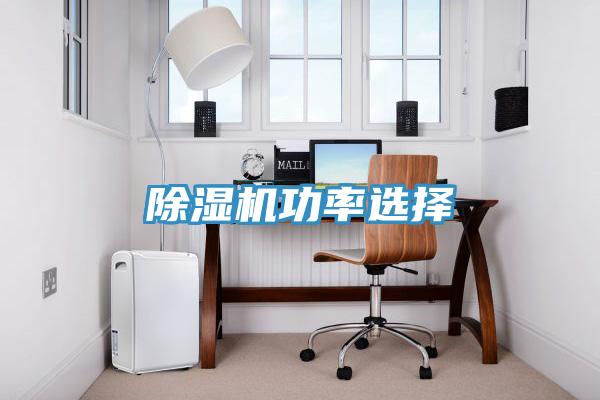 91看片网站功率選擇