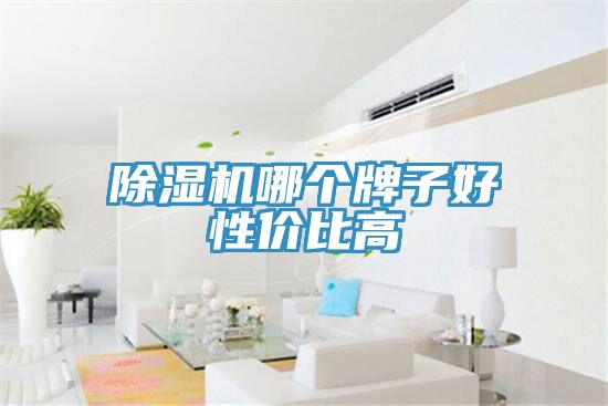 91看片网站哪個牌子好性價比高