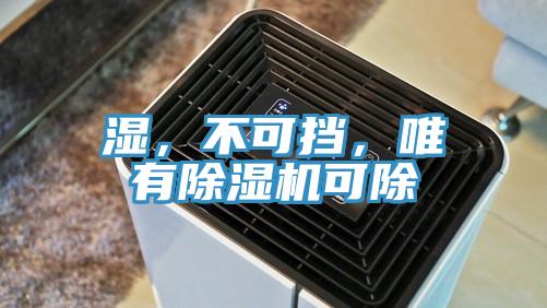 濕，不可擋，唯有91看片网站可除