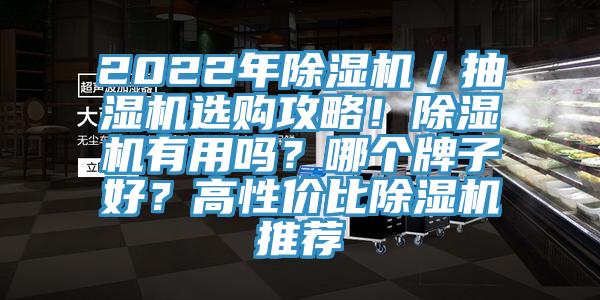 2022年91看片网站／抽濕機選購攻略！91看片网站有用嗎？哪個牌子好？高性價比91看片网站推薦