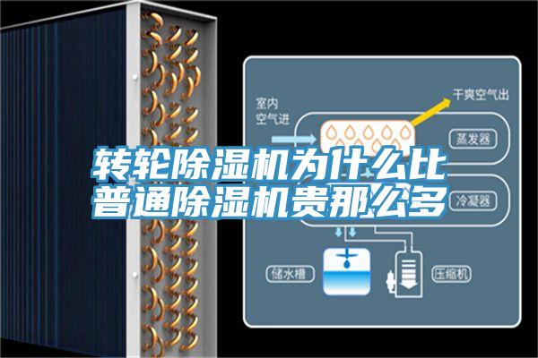 轉輪91看片网站為什麽比普通91看片网站貴那麽多
