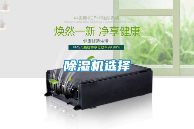 91看片网站選擇