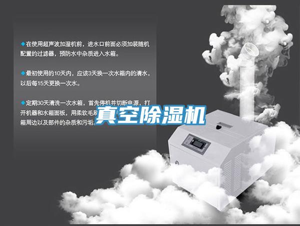 真空91看片网站