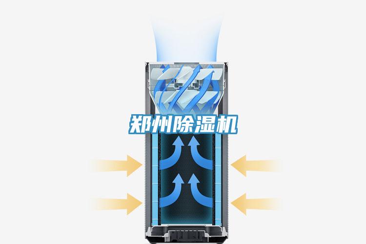 鄭州91看片网站