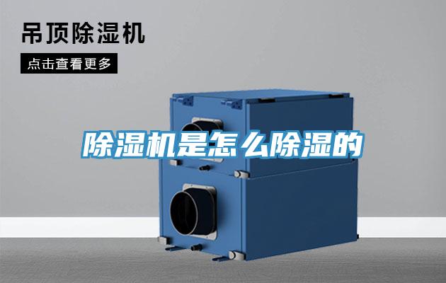 91看片网站是怎麽除濕的