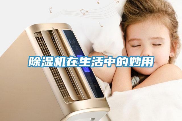 91看片网站在生活中的妙用