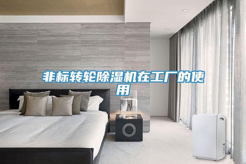 非標轉輪91看片网站在工廠的使用