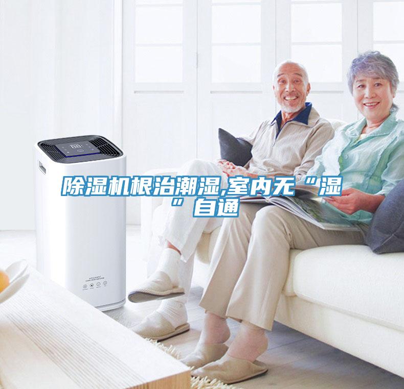 91看片网站根治潮濕,室內無“濕”自通