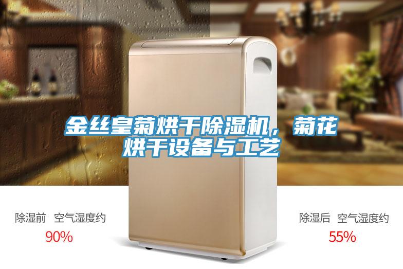 金絲皇菊烘幹91看片网站，菊花烘幹設備與工藝