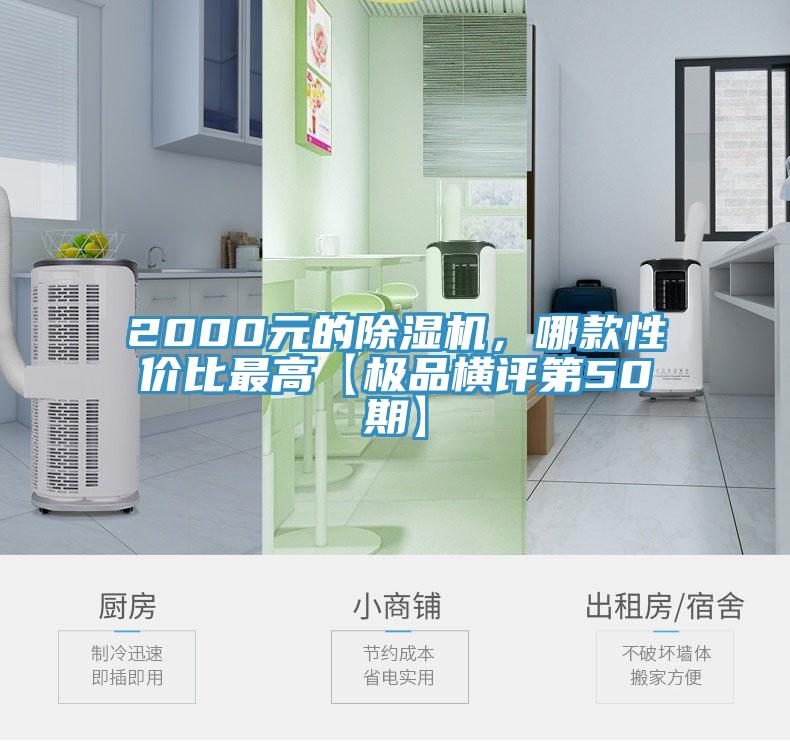 2000元的91看片网站，哪款性價比最高【極品橫評第50期】
