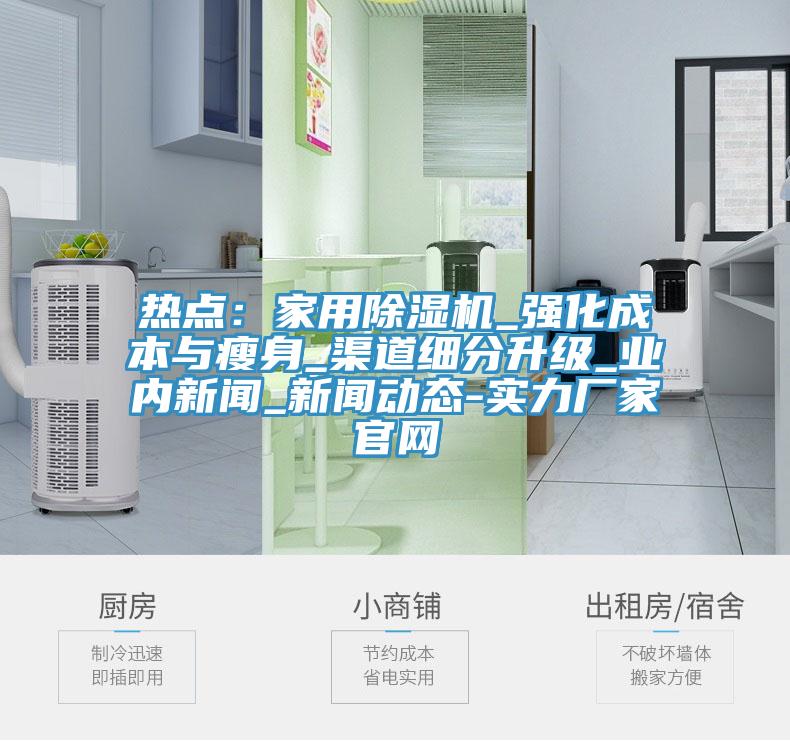 熱點：家用91看片网站_強化成本與瘦身_渠道細分升級_業內新聞_91看片软件大全-實力廠家官網