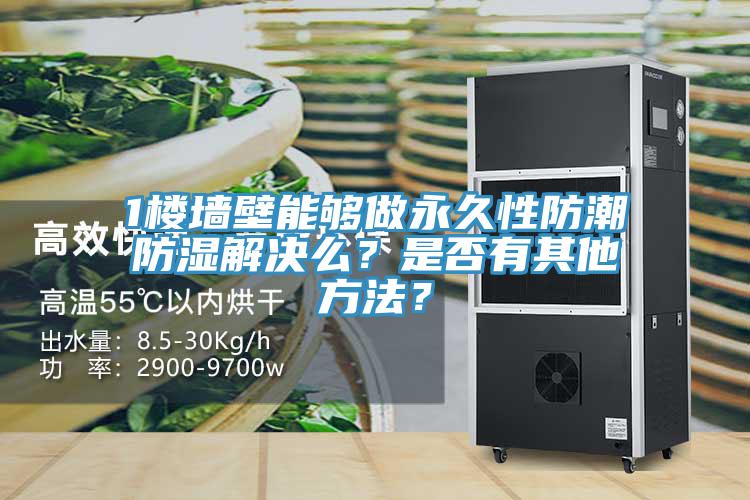 1樓牆壁能夠做永久性防潮防濕解決麽？是否有其他方法？