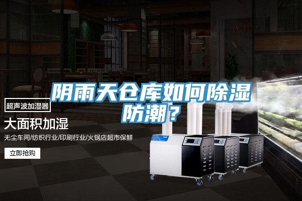 陰雨天倉庫如何除濕防潮？