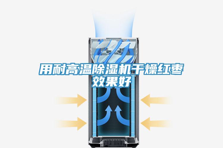 用耐高溫91看片网站幹燥紅棗效果好