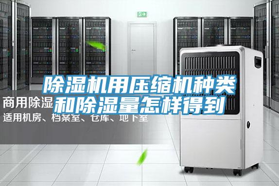 91看片网站用壓縮機種類和除濕量怎樣得到