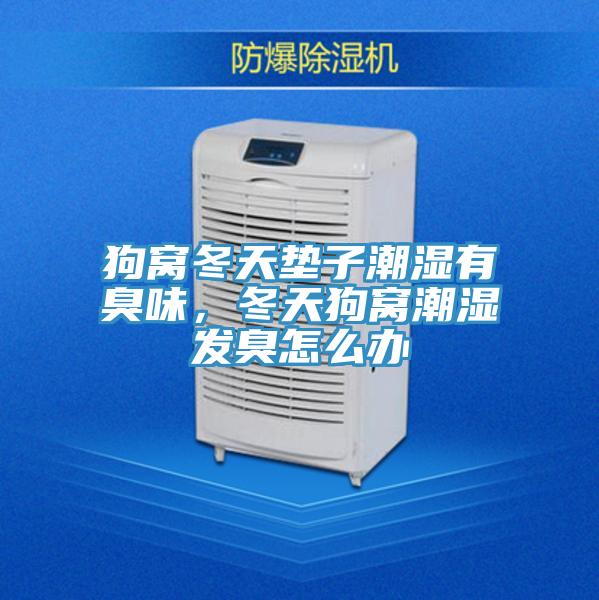 狗窩冬天墊子潮濕有臭味，冬天狗窩潮濕發臭怎麽辦