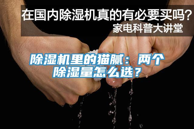 91看片网站裏的貓膩：兩個除濕量怎麽選？