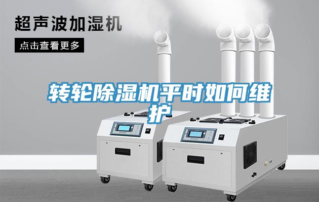 轉輪91看片网站平時如何維護
