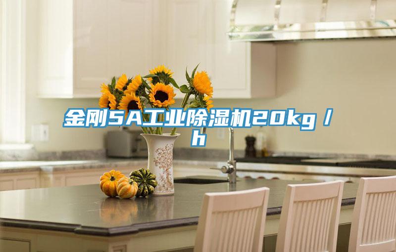 金剛5A工業91看片网站20kg／h