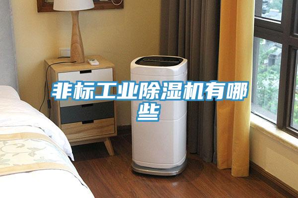 非標工業91看片网站有哪些