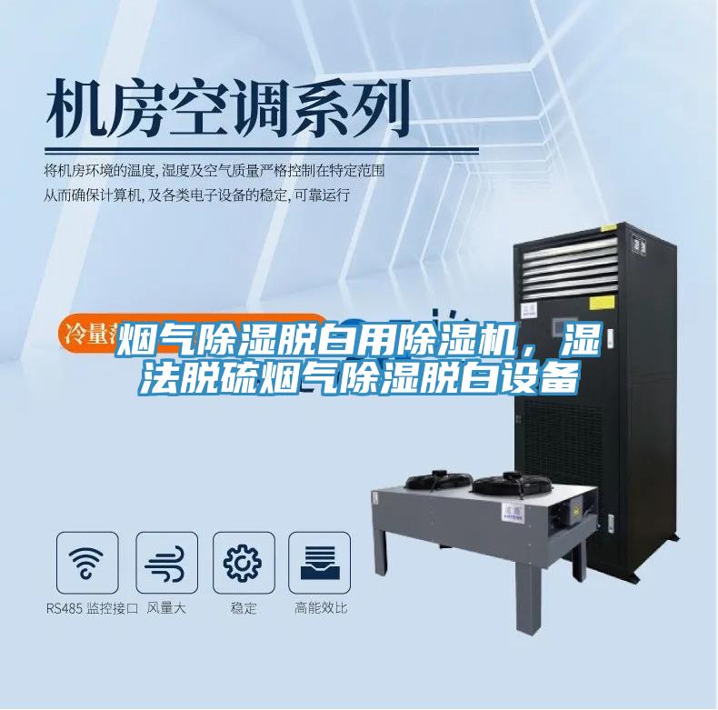 煙氣除濕脫白用91看片网站，濕法脫硫煙氣除濕脫白設備