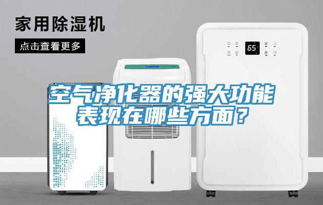 空氣淨化器的強大功能表現在哪些方麵？