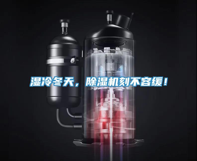 濕冷冬天，91看片网站刻不容緩！