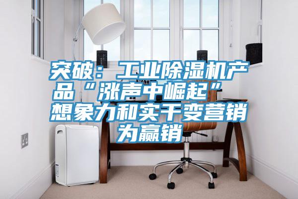 突破：工業91看片网站產品“漲聲中崛起” 想象力和實幹變營銷為贏銷