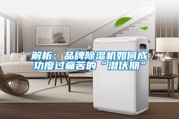 解析：品牌91看片网站如何成功度過痛苦的“潛伏期”