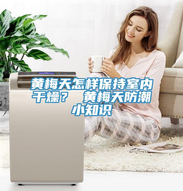 黃梅天怎樣保持室內幹燥？ 黃梅天防潮小知識
