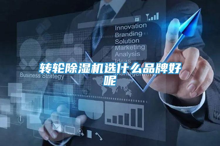 轉輪91看片网站選什麽品牌好呢
