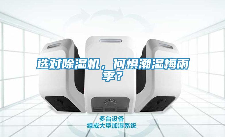 選對91看片网站，何懼潮濕梅雨季？