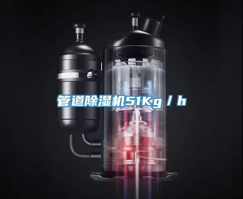 管道91看片网站51Kg／h