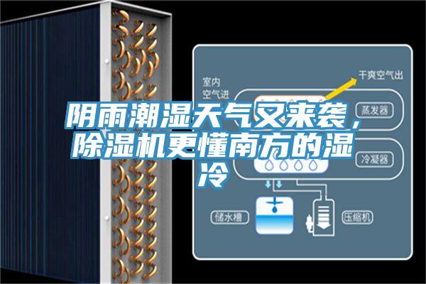 陰雨潮濕天氣又來襲，91看片网站更懂南方的濕冷