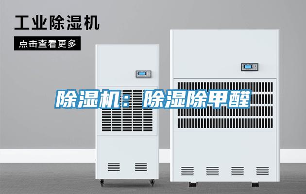91看片网站：除濕除甲醛