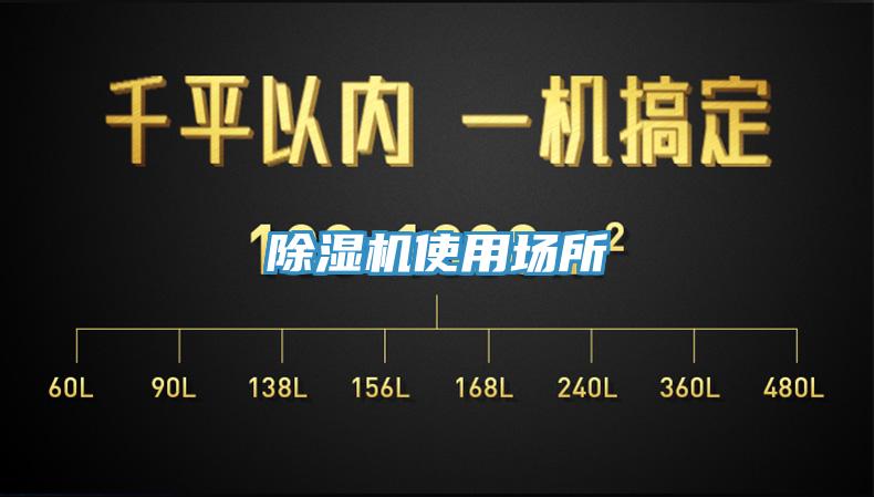 91看片网站使用場所