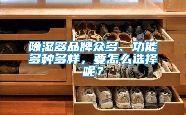 除濕器品牌眾多、功能多種多樣，要怎麽選擇呢？