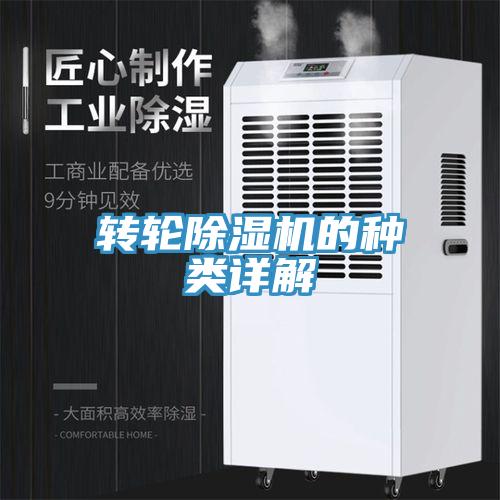 轉輪91看片网站的種類詳解
