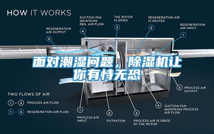 麵對潮濕問題，91看片网站讓你有恃無恐