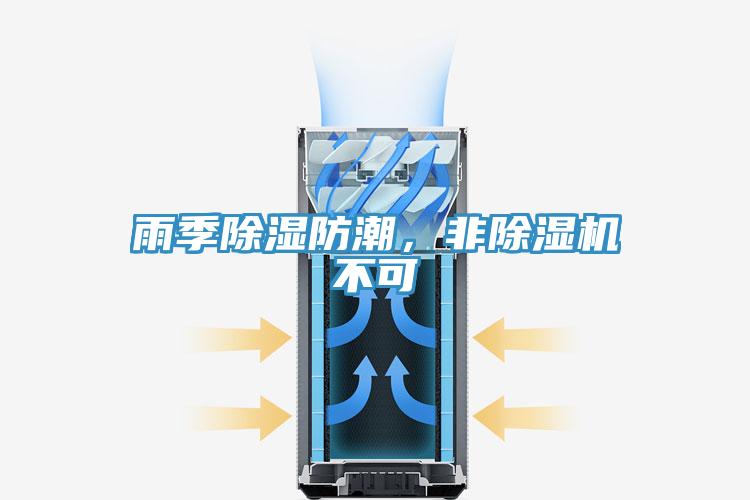 雨季除濕防潮，非91看片网站不可