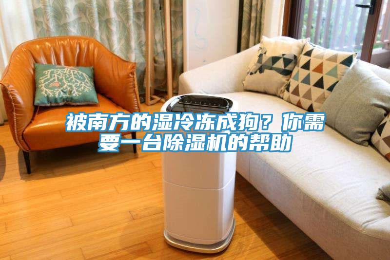 被南方的濕冷凍成狗？你需要一台91看片网站的幫助