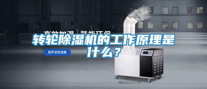 轉輪91看片网站的工作原理是什麽？