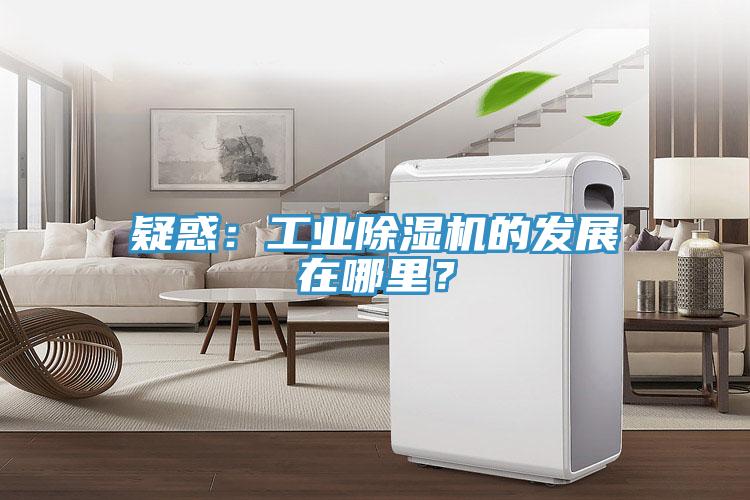 疑惑：工業91看片网站的發展在哪裏？
