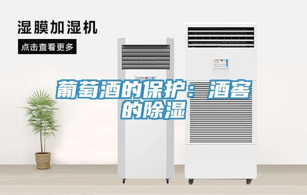 葡萄酒的保護：酒窖的除濕