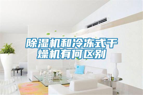 91看片网站和冷凍式幹燥機有何區別