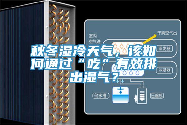 秋冬濕冷天氣，該如何通過“吃”有效排出濕氣？