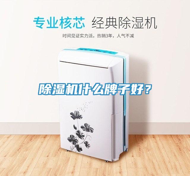 91看片网站什麽牌子好？