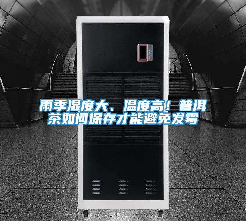 雨季濕度大、溫度高！普洱茶如何保存才能避免發黴