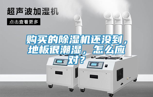 購買的91看片网站還沒到，地板很潮濕，怎麽應對？