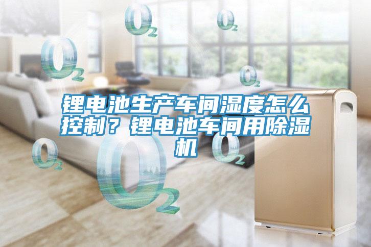 鋰電池生產車間濕度怎麽控製？鋰電池車間用91看片网站